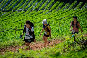 BIB: 1212
                            <button type="button" onclick="openModal(19163124)" class="btn btn-primary btn-sm float-right btn-popup" data-toggle="modal" data-target=".modal-high-quality">
                        <i class="fas fa-shopping-cart"></i> Add to Cart
                    </button>
                                            <button type="button" onclick="isThisMe(19163124, true)" class="btn btn-success btn-sm float-right btn-popup btn-isme hidden" data-toggle="tooltip" data-placement="bottom" title="นี่คือรูปของคุณใช่ไหม คลิกที่นี่เพื่อเอาเข้าอัลบั้ม">
                        <i class="fas fa-plus"></i> Add to album
                    </button>
                    <button type="button" onclick="isThisMe(19163124, false)" class="btn btn-warning btn-sm float-right btn-popup btn-isnotme hidden">
                        <i class="fas fa-ban"></i> Remove from album
                    </button>